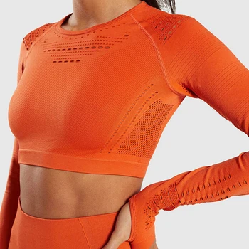 Flawless Knit Seamless Yoga Top Fitness Long Sleeve Women Shirts Workout Gym Crop Top Breathable Sport Shirt Women Top Sports
Flawless Knit Seamless Yoga Top Fitness Long Sleeve Women Shirts Workout Gym Crop Top Breathable Sport Shirt Women Top Sports