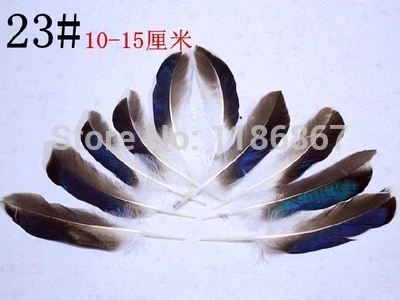 100Pcs/lot 10-15cm Mallard Duck Wing Feathers Quill Natural Wild Duck Feathers Shocking Blue FREE SHIPPING
100Pcs/lot 10-15cm Mallard Duck Wing Feathers Quill Natural Wild Duck Feathers Shocking Blue FREE SHIPPING