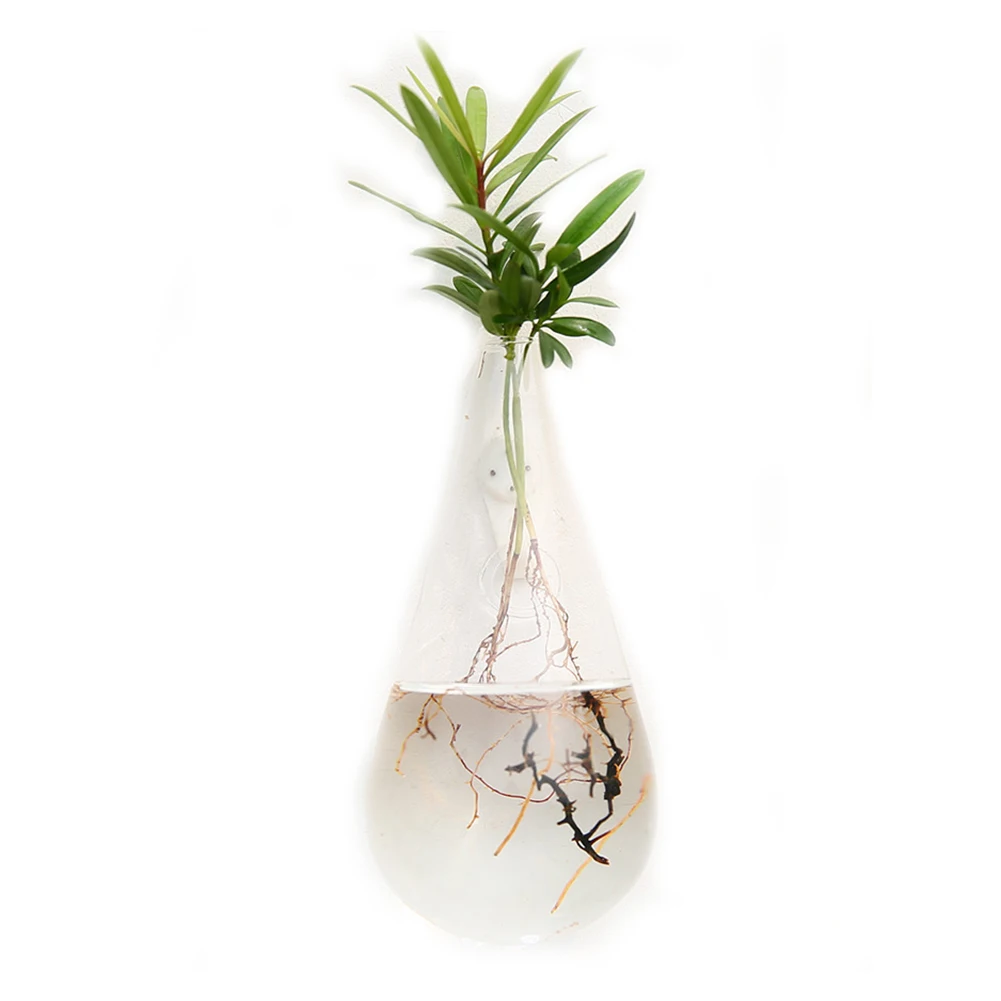 Creative Wall Hanging Transparent Glass Vase Hydroponic Living Room Home Decor Device With 1 Free No-Damage Hook (Waterdrop Shap
Creative Wall Hanging Transparent Glass Vase Hydroponic Living Room Home Decor Device With 1 Free No-Damage Hook (Waterdrop Shap