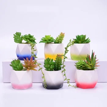 Set of 6 Mini Colorful Geometry Ceramic Flowerpot Succulent Plant Pot Bonsai Planter Porcelain Flower Pot Garden Supplies
Set of 6 Mini Colorful Geometry Ceramic Flowerpot Succulent Plant Pot Bonsai Planter Porcelain Flower Pot Garden Supplies