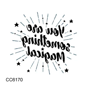 cc 60 (1)