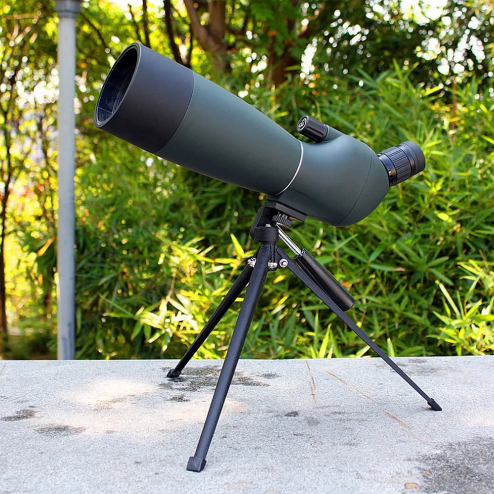 DT39500-C-2-1