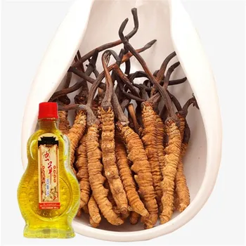 Cordyceps sinensis Rheumatism Osteodynia Essential oil Body Massage Heating Relaxation Capsicum knee pain Joint Pain Plaster
Cordyceps sinensis Rheumatism Osteodynia Essential oil Body Massage Heating Relaxation Capsicum knee pain Joint Pain Plaster