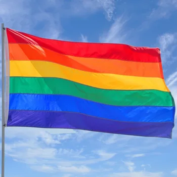 10Pcs 90x150cm Rainbow Flags And Banners 3x5 FT Polyester Lesbian Gay Pride International Landing Day LGBT For Home Decoration
10Pcs 90x150cm Rainbow Flags And Banners 3x5 FT Polyester Lesbian Gay Pride International Landing Day LGBT For Home Decoration
