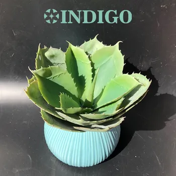Wholesale 48pcs Green Big Size Desert Aloe Succulent Plant Plastic Flower Decoration Green Plant Background Free Shipping
Wholesale 48pcs Green Big Size Desert Aloe Succulent Plant Plastic Flower Decoration Green Plant Background Free Shipping