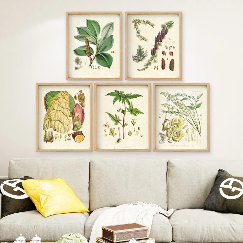 Green plants set of 5 Vintage Botanical illustrations floral art prints HD printing Flower Wall Art prints only unframed
Green plants set of 5 Vintage Botanical illustrations floral art prints HD printing Flower Wall Art prints only unframed