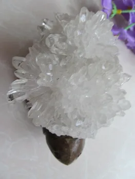 VERY BIG !AAA++++ NATURAL Quartz Crystal Gem Stone Tortoise Custer Reiki Healing 500g
VERY BIG !AAA++++ NATURAL Quartz Crystal Gem Stone Tortoise Custer Reiki Healing 500g