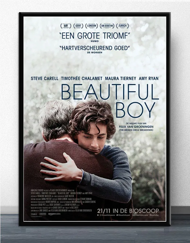 FX682 красивый мальчик фильм Феликс Ван гроенинген Тимоти чаламет на заказ постер