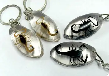 free shipping 12 keychain natural black gold scorpion transparent oval style jewelry
free shipping 12 keychain natural black gold scorpion transparent oval style jewelry