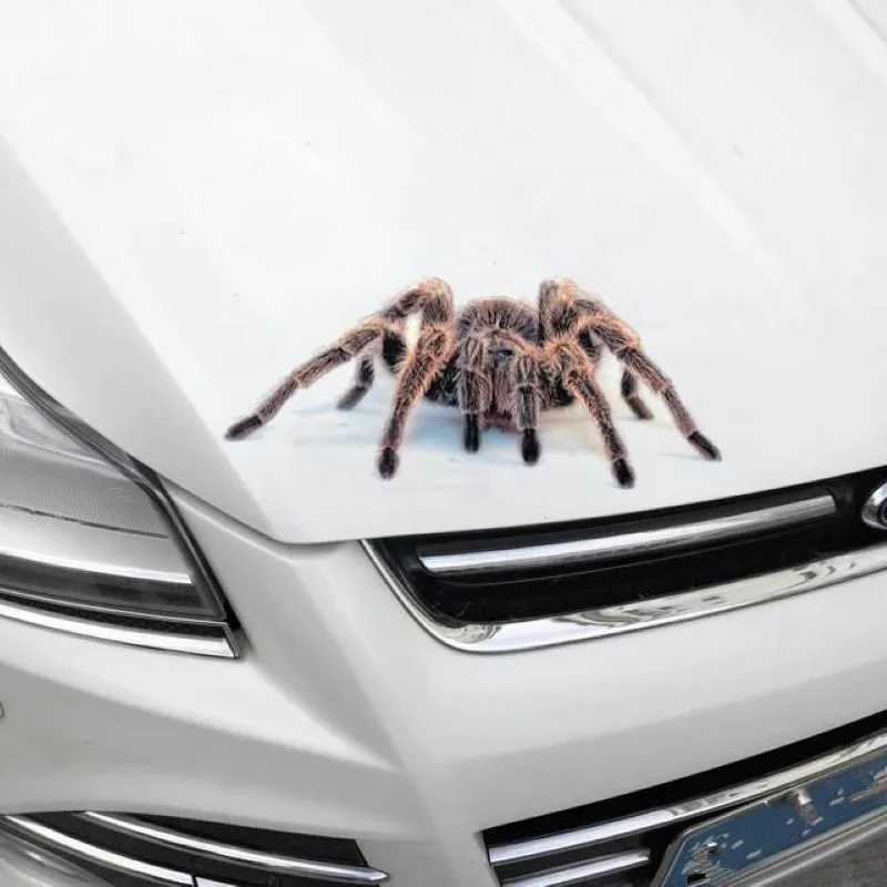 3D Car Sticker Animals Bumper Spider Gecko Scorpions For Jaguar XF XFL XE XJ XJL F-Pace F pace fpace X761 XJ6 XKR XK8 X320 X308
3D Car Sticker Animals Bumper Spider Gecko Scorpions For Jaguar XF XFL XE XJ XJL F-Pace F pace fpace X761 XJ6 XKR XK8 X320 X308