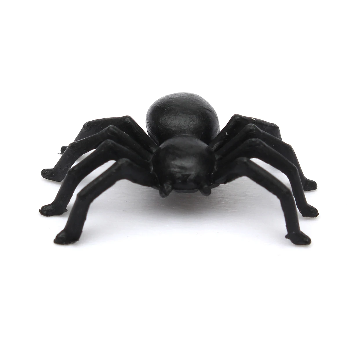 plastic spider toy