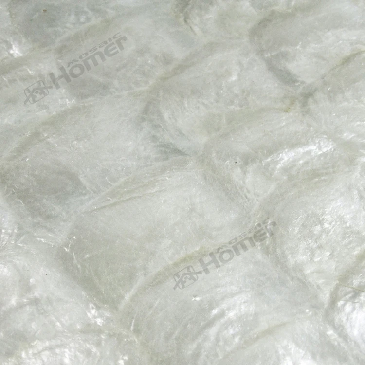 white capiz tiles mesh backing 300x300mm for backsplash tiles capiz mother of pearl tile for living room bedroom wall tiles
white capiz tiles mesh backing 300x300mm for backsplash tiles capiz mother of pearl tile for living room bedroom wall tiles