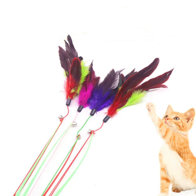1 feather material cat toy training and interaction comes with small bells pet toys random color cat toys
1 feather material cat toy training and interaction comes with small bells pet toys random color cat toys