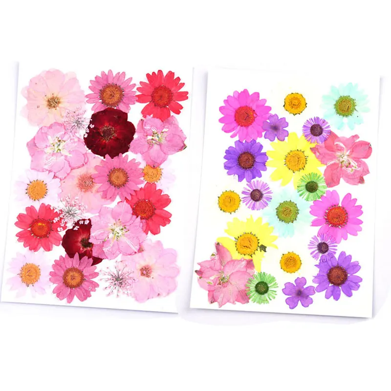 20pcs Pressed Flowers Small Dried Flowers Scrapbooking dry DIY Preserved Flower Decoration Home Mini bloemen flores secas
20pcs Pressed Flowers Small Dried Flowers Scrapbooking dry DIY Preserved Flower Decoration Home Mini bloemen flores secas
