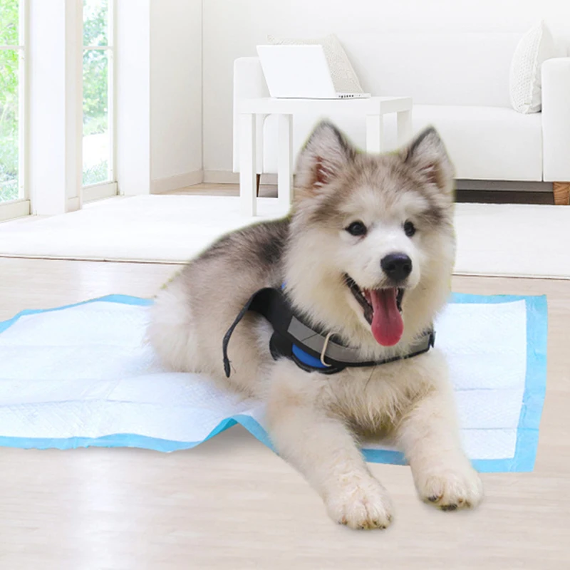 Antibacterial Odor-resistant Disposable Pet Diapers Multi-size Pet Diapers Super Absorbent Training Urine Cleaning Pet Dog Nappy
Antibacterial Odor-resistant Disposable Pet Diapers Multi-size Pet Diapers Super Absorbent Training Urine Cleaning Pet Dog Nappy