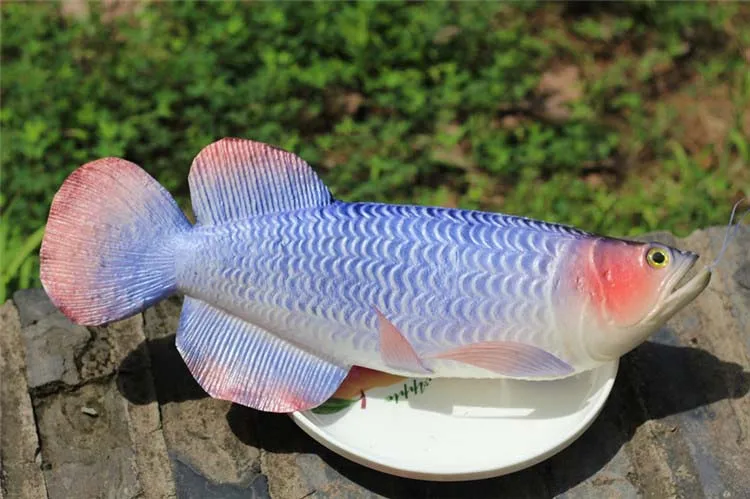 Имитация РЫБЫ Arowana искусственная модель морепродуктов детская игрушка-модель