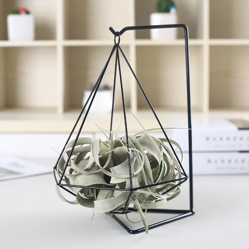 1Pcs Metal Plants Stand Hexagon Modle Air Plant Holder Tillandsia Hanger Tabletop Planter Vase
1Pcs Metal Plants Stand Hexagon Modle Air Plant Holder Tillandsia Hanger Tabletop Planter Vase