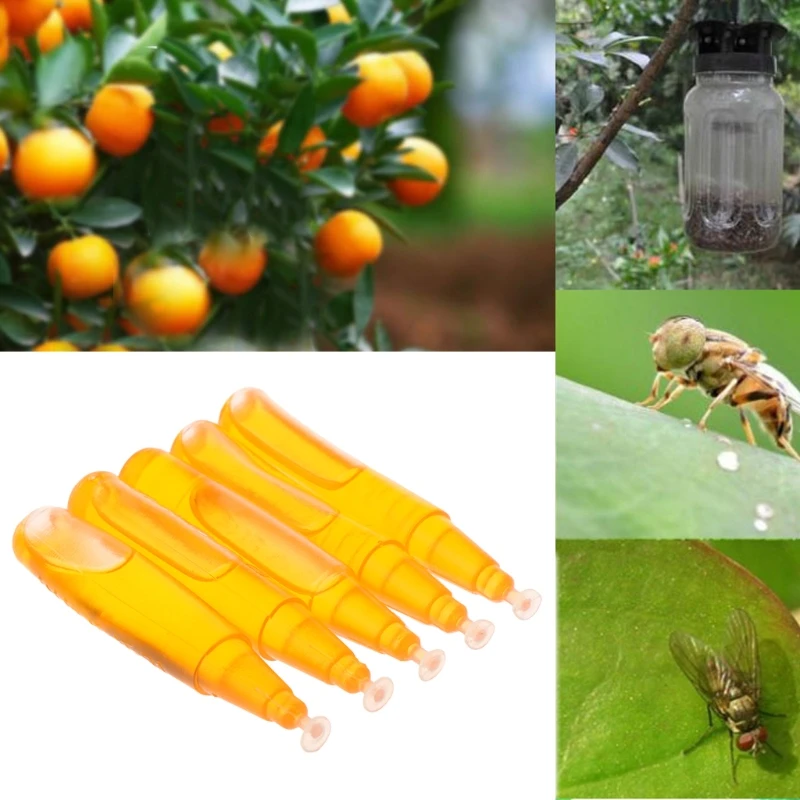 5 Pcs/Bag Fruit Fly Attractant 3ml Trap Bait Beekeeping Beehive Tool Killer Swarm
5 Pcs/Bag Fruit Fly Attractant 3ml Trap Bait Beekeeping Beehive Tool Killer Swarm