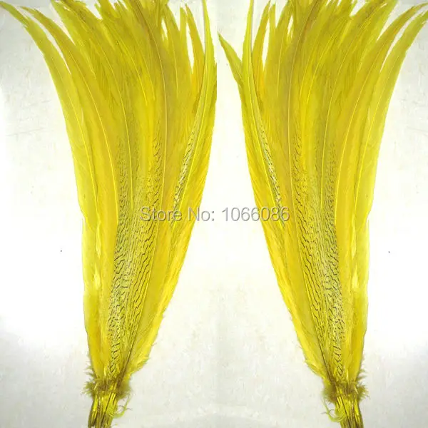 EMS Free Shipping 50pcs Silver pheasant Feathers 60-65 24-26inch Yellow pheasant silver Feathers DIY Feathers Cloth accessory
EMS Free Shipping 50pcs Silver pheasant Feathers 60-65 24-26inch Yellow pheasant silver Feathers DIY Feathers Cloth accessory