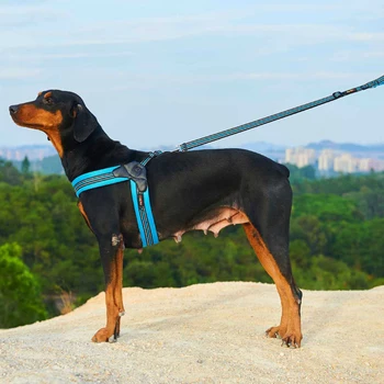 2019 Heavy Duty Dog Pet Harness Collar Leash Set Padded Extra Big Large Medium Small Dog Harnesses vest Husky Pug Dog Supplies
2019 Heavy Duty Dog Pet Harness Collar Leash Set Padded Extra Big Large Medium Small Dog Harnesses vest Husky Pug Dog Supplies