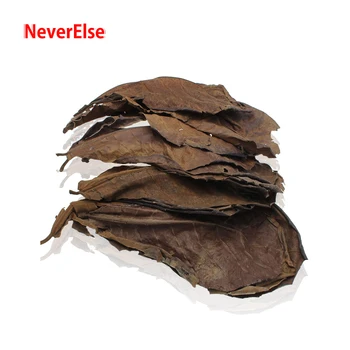 

10pcs Terminalia Catappa Leaves Indian Almond Leaves Betta Fish Shrimp Natural Habitat Aquarium Fish Tank Lower PH Kill Bacteria