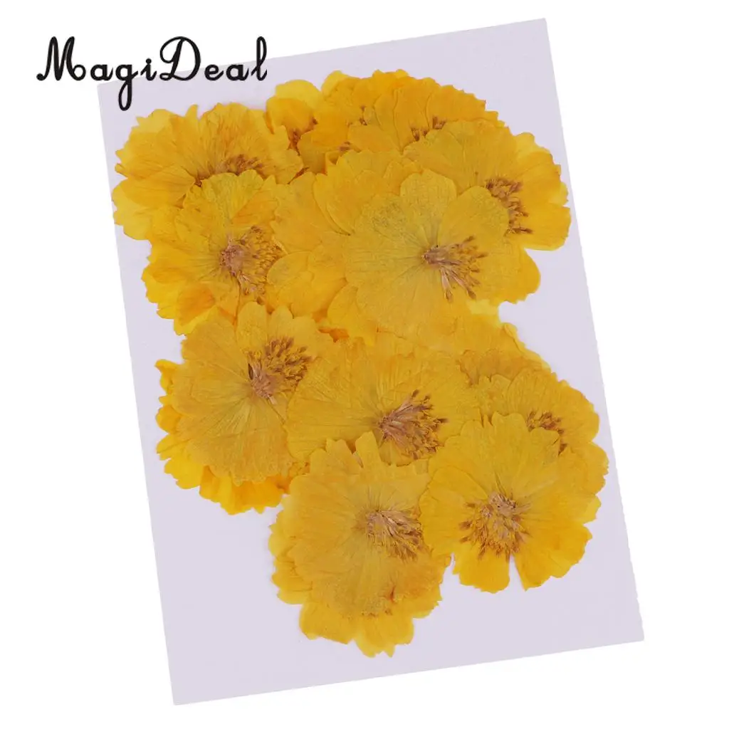 20pcs Natural Dried Flower Yellow Coreopsis for DIY Phone Case Decoration Jewelry Making Crafts DIY Necklace Pendant Charms
20pcs Natural Dried Flower Yellow Coreopsis for DIY Phone Case Decoration Jewelry Making Crafts DIY Necklace Pendant Charms