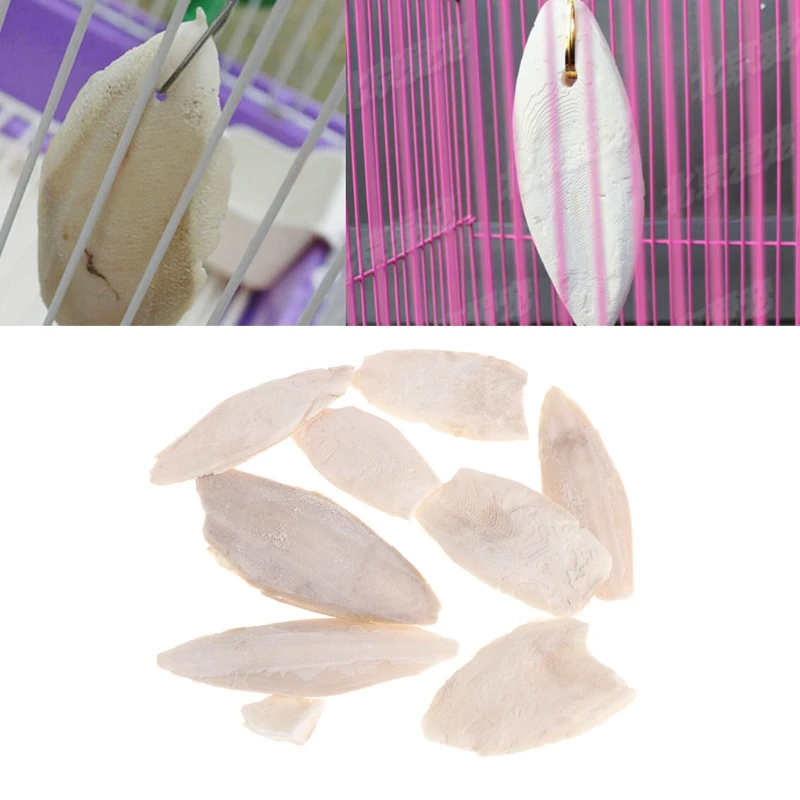 1 Bag Cuttlebone Cuttlefish Sepia Bone Cuttle Fish Bird Food Calcium Pickstone Pet
1 Bag Cuttlebone Cuttlefish Sepia Bone Cuttle Fish Bird Food Calcium Pickstone Pet