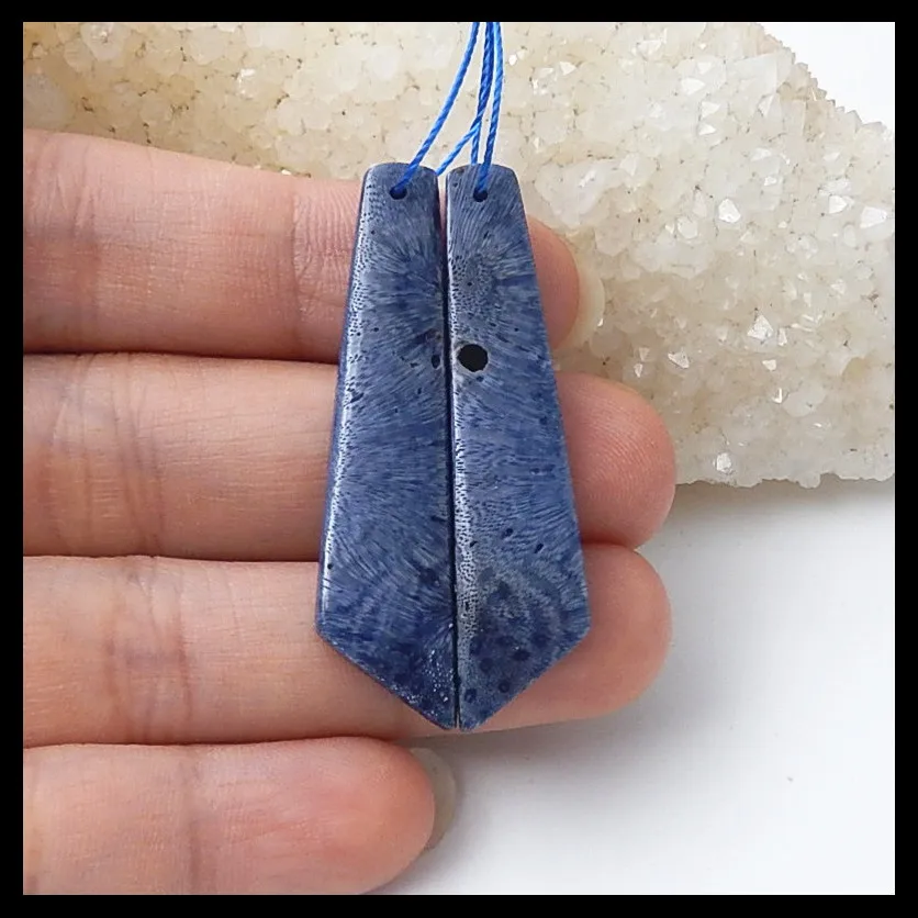 Natural Semi-precious stones, Jewelry accessories Blue Coral fashion women Earrings Beads,43x10x4mm,6.0g
Natural Semi-precious stones, Jewelry accessories Blue Coral fashion women Earrings Beads,43x10x4mm,6.0g