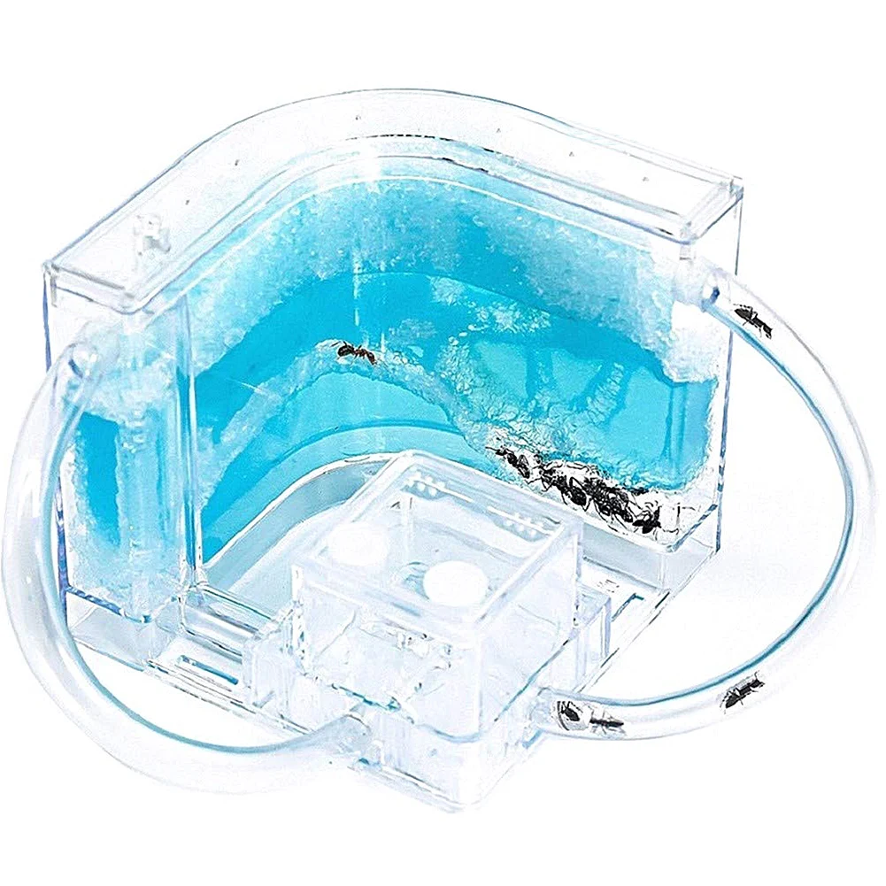 Kids Children Ants Pet Toys Reptile Ant Nest Natural Ant Farm Home Ecological Ant Insect Ecology Box Science Educational Toy
Kids Children Ants Pet Toys Reptile Ant Nest Natural Ant Farm Home Ecological Ant Insect Ecology Box Science Educational Toy