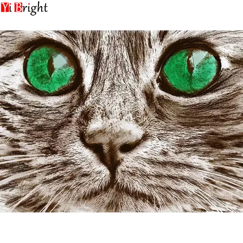 Diamond Painting square&round Cross Stitch Alaska cat 5D DIY Diamond mosaic diamond Embroidery rhinestones gift LWR
Diamond Painting square&round Cross Stitch Alaska cat 5D DIY Diamond mosaic diamond Embroidery rhinestones gift LWR