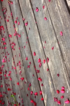 New Arrival Wooden Backdrop For Photography Petal Vinyl Baby Children Pet Cake Goods Photo Studio Photographic Props
New Arrival Wooden Backdrop For Photography Petal Vinyl Baby Children Pet Cake Goods Photo Studio Photographic Props