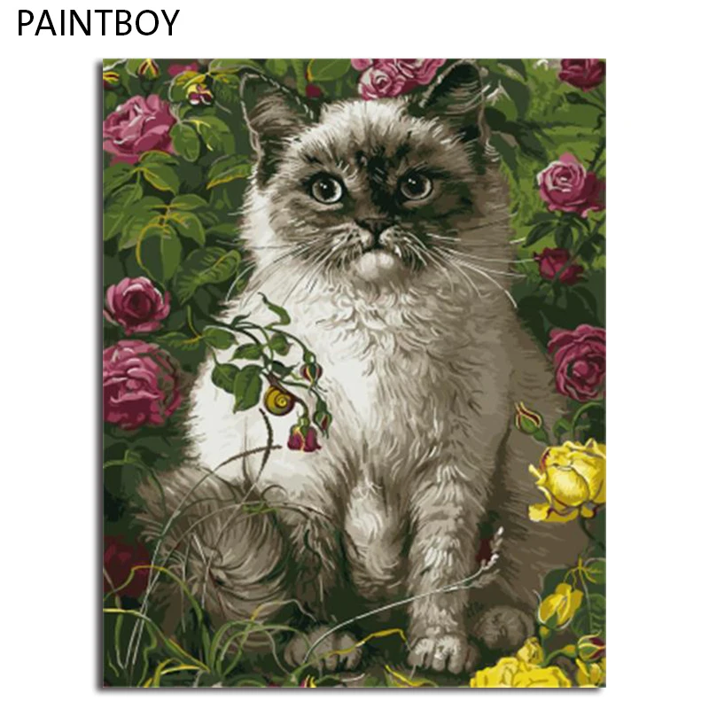 PAINTBOY Framed DIY Painting By Numbers On Canvas Of Animals Cat Oil Painting Home Decor For Living Room Wall Art
PAINTBOY Framed DIY Painting By Numbers On Canvas Of Animals Cat Oil Painting Home Decor For Living Room Wall Art