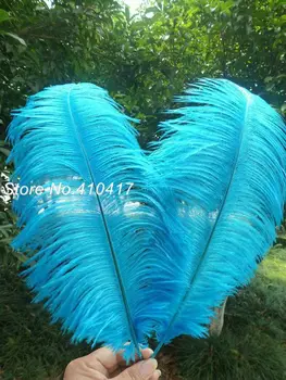 50pcs/lot Blue Color Ostrich Feathers Plumes 30-35cm/12-14 Inches For Decoration Free Shipping
50pcs/lot Blue Color Ostrich Feathers Plumes 30-35cm/12-14 Inches For Decoration Free Shipping