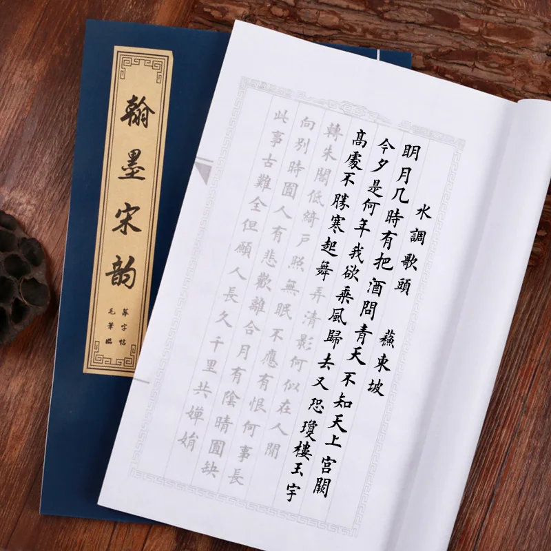 The Song Dynasty calligraphy rhyme Learn Quickly Trace the Copybook Calligraphy Chinese Character Practice Small Rregular Script
The Song Dynasty calligraphy rhyme Learn Quickly Trace the Copybook Calligraphy Chinese Character Practice Small Rregular Script