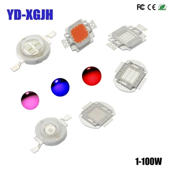High Power LED Chip Full Spectrum Grow Blue450NM DeepRed 660NM Light Led1 3 5 10 20 30 50 100W COB Beads for Indoor Plant Growth
High Power LED Chip Full Spectrum Grow Blue450NM DeepRed 660NM Light Led1 3 5 10 20 30 50 100W COB Beads for Indoor Plant Growth