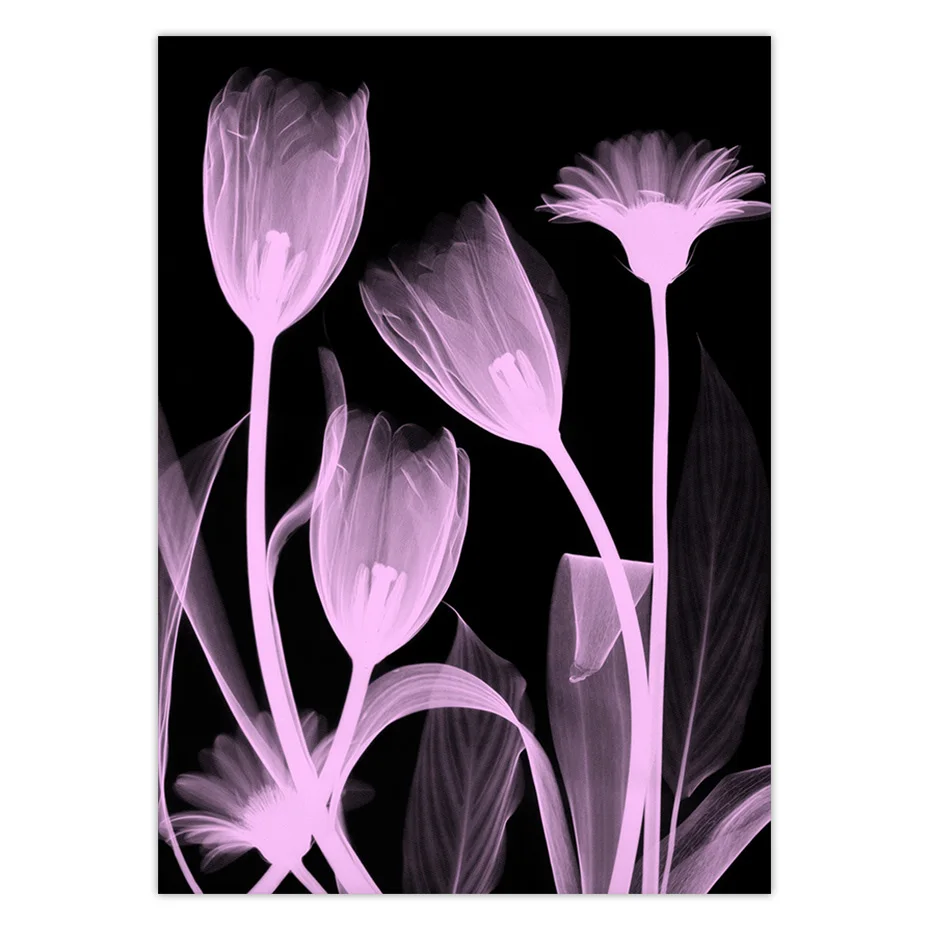 color_opt_8