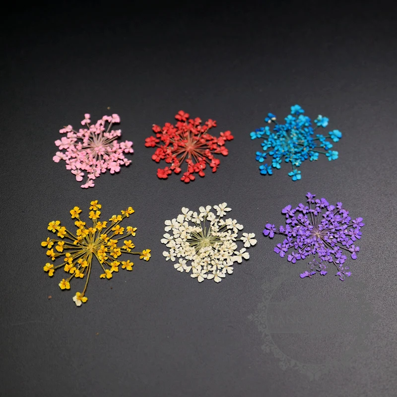 small packs blue real dry pressed flower craft for DIY glass dome resin filling pendant charm 1503172
small packs blue real dry pressed flower craft for DIY glass dome resin filling pendant charm 1503172