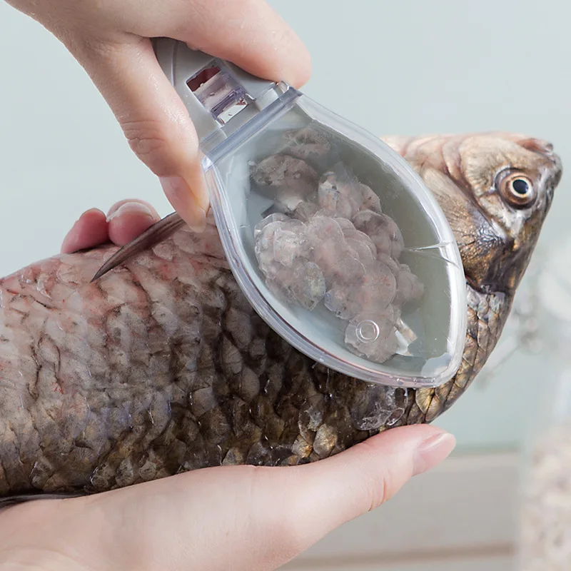 Cover Band Scraping Scales Utensil Fish Animal Modelling Kitchen Helper Objects Fish Scraper Novel Lovely Creative Tools Design
Cover Band Scraping Scales Utensil Fish Animal Modelling Kitchen Helper Objects Fish Scraper Novel Lovely Creative Tools Design
