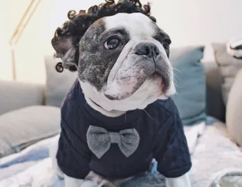 French Bulldog Clothes Winter Pug Clothing Dog Sweater Knit Apparel Pet Outfit Schnauzer Frenchie Coat Garment
French Bulldog Clothes Winter Pug Clothing Dog Sweater Knit Apparel Pet Outfit Schnauzer Frenchie Coat Garment