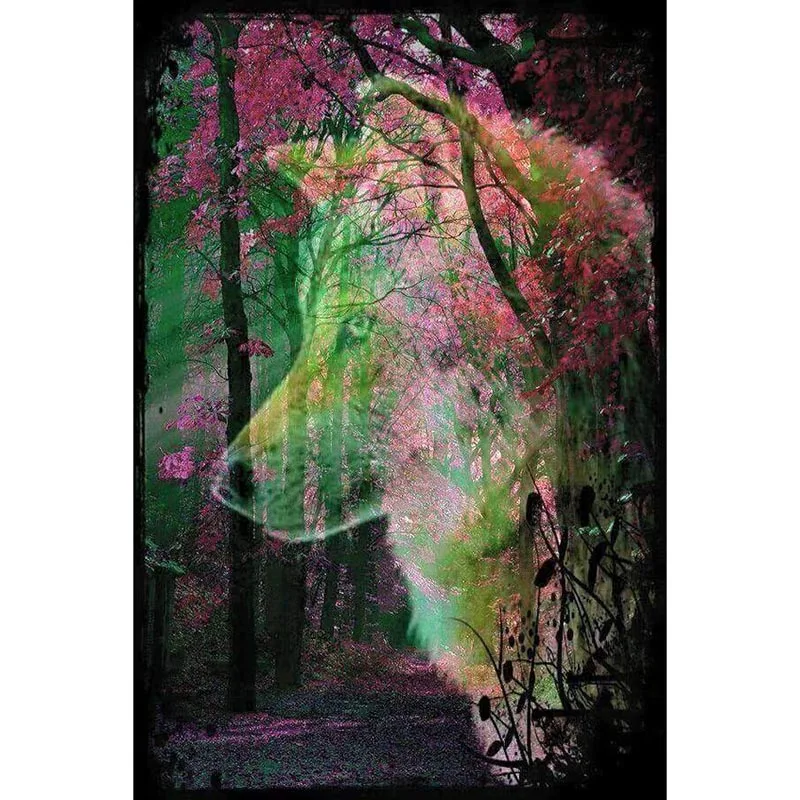 Full Square/Round Drill 5D DIY Diamond Painting " Tree Wolf " 3D Diamond Embroidery Cross Stitch Mosaic Rhinestone Decor Gift
Full Square/Round Drill 5D DIY Diamond Painting " Tree Wolf " 3D Diamond Embroidery Cross Stitch Mosaic Rhinestone Decor Gift