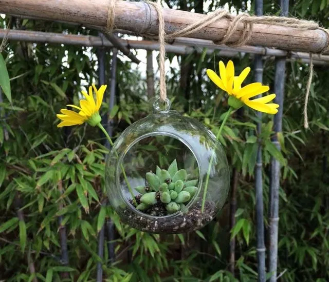 12pcs-wholesale-hanging-glass-globe-candle-holders-8-10-cm-round-planter-vase-wedding-supplies-Flat