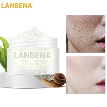 LANBENA Snail Repair Essence Facial Cream Anti Wrinkle Anti Aging Acne Treatment Moisturizing Firming Face Cream Skin Care
LANBENA Snail Repair Essence Facial Cream Anti Wrinkle Anti Aging Acne Treatment Moisturizing Firming Face Cream Skin Care
