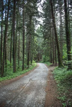 Laeacco Forest Grass Passage Corner Children Portrait Photography Backgrounds Customized Photographic Backdrops For Photo Studio
Laeacco Forest Grass Passage Corner Children Portrait Photography Backgrounds Customized Photographic Backdrops For Photo Studio