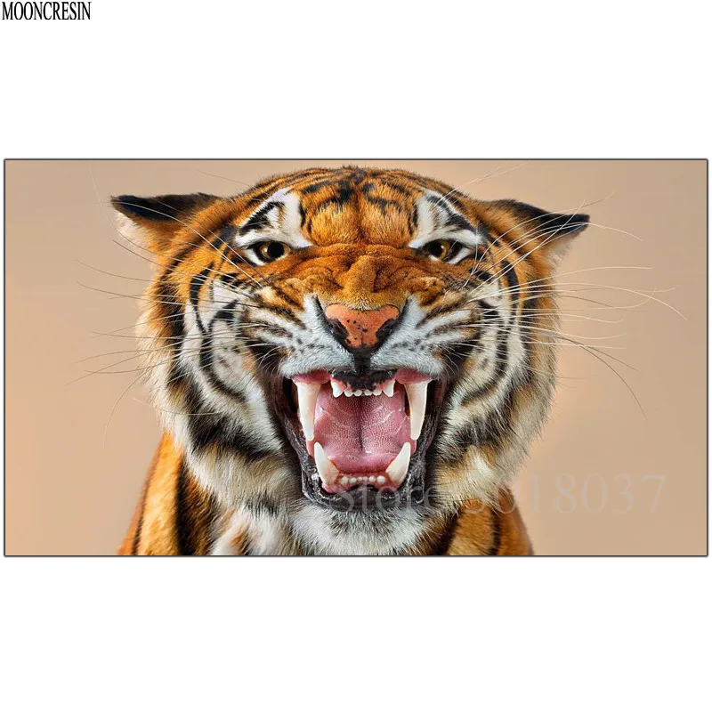 Diy Diamond Painting Cross Stitch Angry Tiger With Grin Needlework Diamond Embroidery Full Round Mosaic Decoration Resin Sticker
Diy Diamond Painting Cross Stitch Angry Tiger With Grin Needlework Diamond Embroidery Full Round Mosaic Decoration Resin Sticker