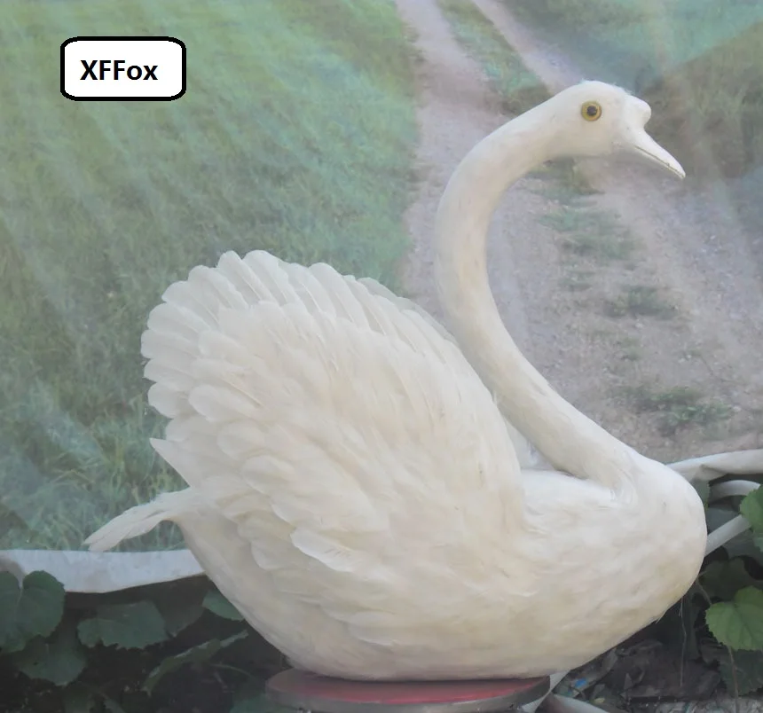 big simulation white swan model foam&feather lifelike new swan toy gift about 55x65cm xf0700
big simulation white swan model foam&feather lifelike new swan toy gift about 55x65cm xf0700