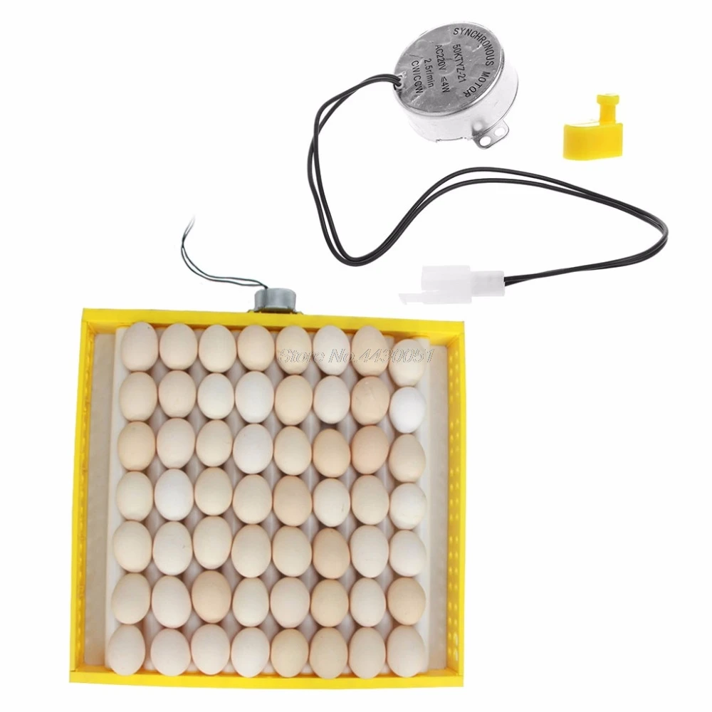 220V AC Chicken Egg Turner Motor Components For Farm Hatcher Incubator Brooder egg incubator Farm Animals Accessories
220V AC Chicken Egg Turner Motor Components For Farm Hatcher Incubator Brooder egg incubator Farm Animals Accessories
