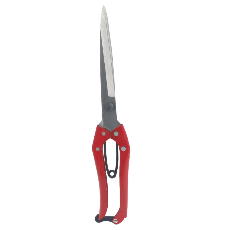 Manual cheap wool Scissors for sheep goat Llama wool horsehair shear horsehair pet rabbit leather cut dog
Manual cheap wool Scissors for sheep goat Llama wool horsehair shear horsehair pet rabbit leather cut dog