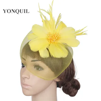Multicolor crinoline fascinator headpiece fashion feather mesh T-platform headwear free shipping suit for all season FNR151207
Multicolor crinoline fascinator headpiece fashion feather mesh T-platform headwear free shipping suit for all season FNR151207