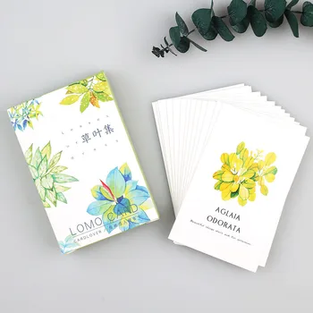 28pcs/lot Different styles MINI Boxed Cards Grass and leaves Decorative card LOMO DIY card, blessing card 5.2x8cm
28pcs/lot Different styles MINI Boxed Cards Grass and leaves Decorative card LOMO DIY card, blessing card 5.2x8cm