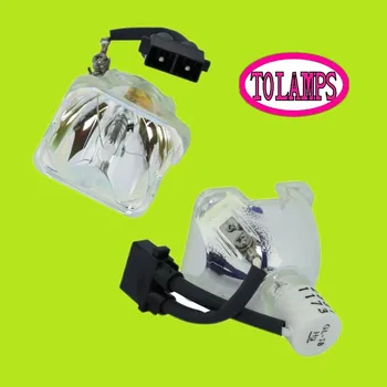 TLP-X2000 TLP-X2000U TLP-X2000EDU TLP-XC2000 TLP-XD2000 TLP-XD2000U TLP-XD2000EDU Projector Lamp TLPLW11
TLP-X2000 TLP-X2000U TLP-X2000EDU TLP-XC2000 TLP-XD2000 TLP-XD2000U TLP-XD2000EDU Projector Lamp TLPLW11